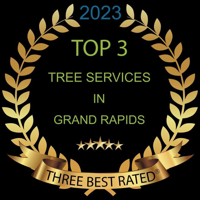 tree services grand rapids 2023 drk 1